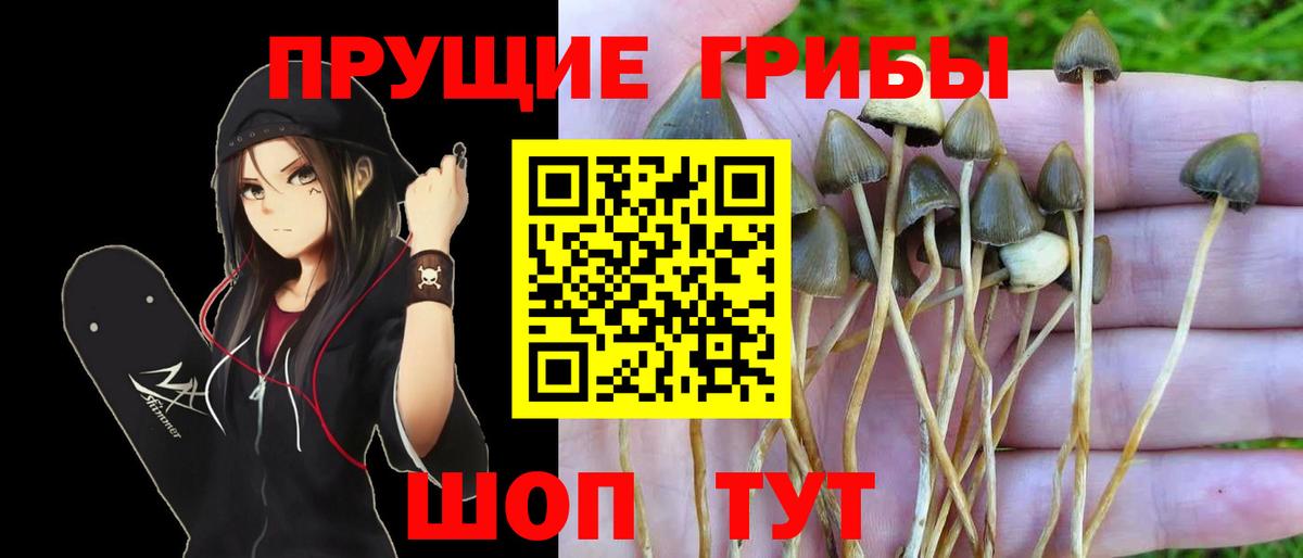 Галлюциногенные грибы Magic Shrooms Ишимбай